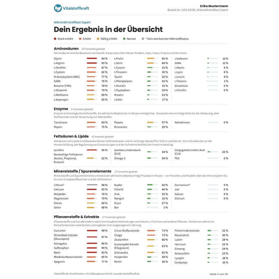 Musterbericht Mikronährstoffanalyse: Dein Ergebnis in der Übersicht