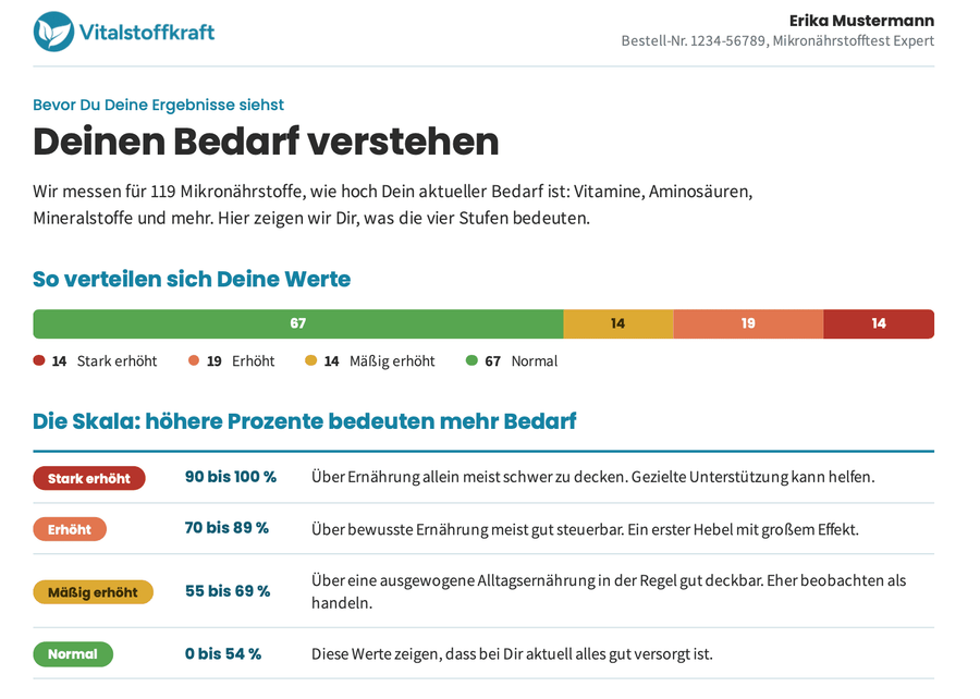 Musterbericht Mikronährstoffanalyse: Deinen Bedarf verstehen