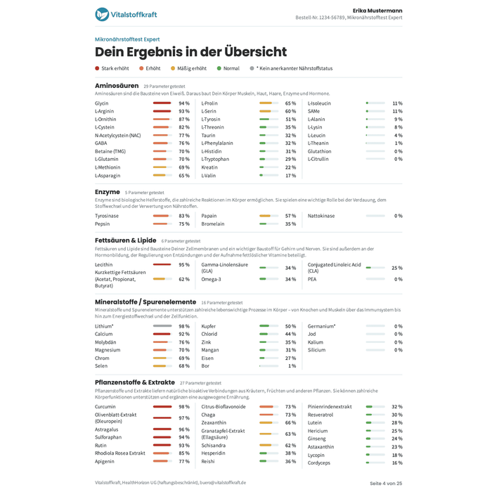 Musterbericht Mikronährstoffanalyse: Dein Ergebnis in der Übersicht