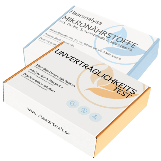 Haaranalyse 5-in-1: Mikronährstoffe, Toxine, Schwermetalle, Mikroplastik & Unverträglichkeiten