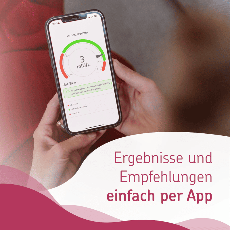 Cerascreen - Schilddrüsen Test - Vitalstoffkraft