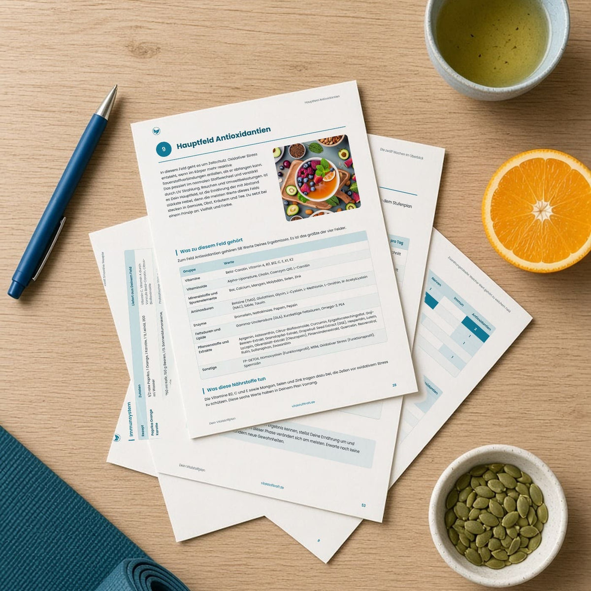Dein Vitalstoffplan: 12 Wochen Programm zur Mikronährstoffanalyse