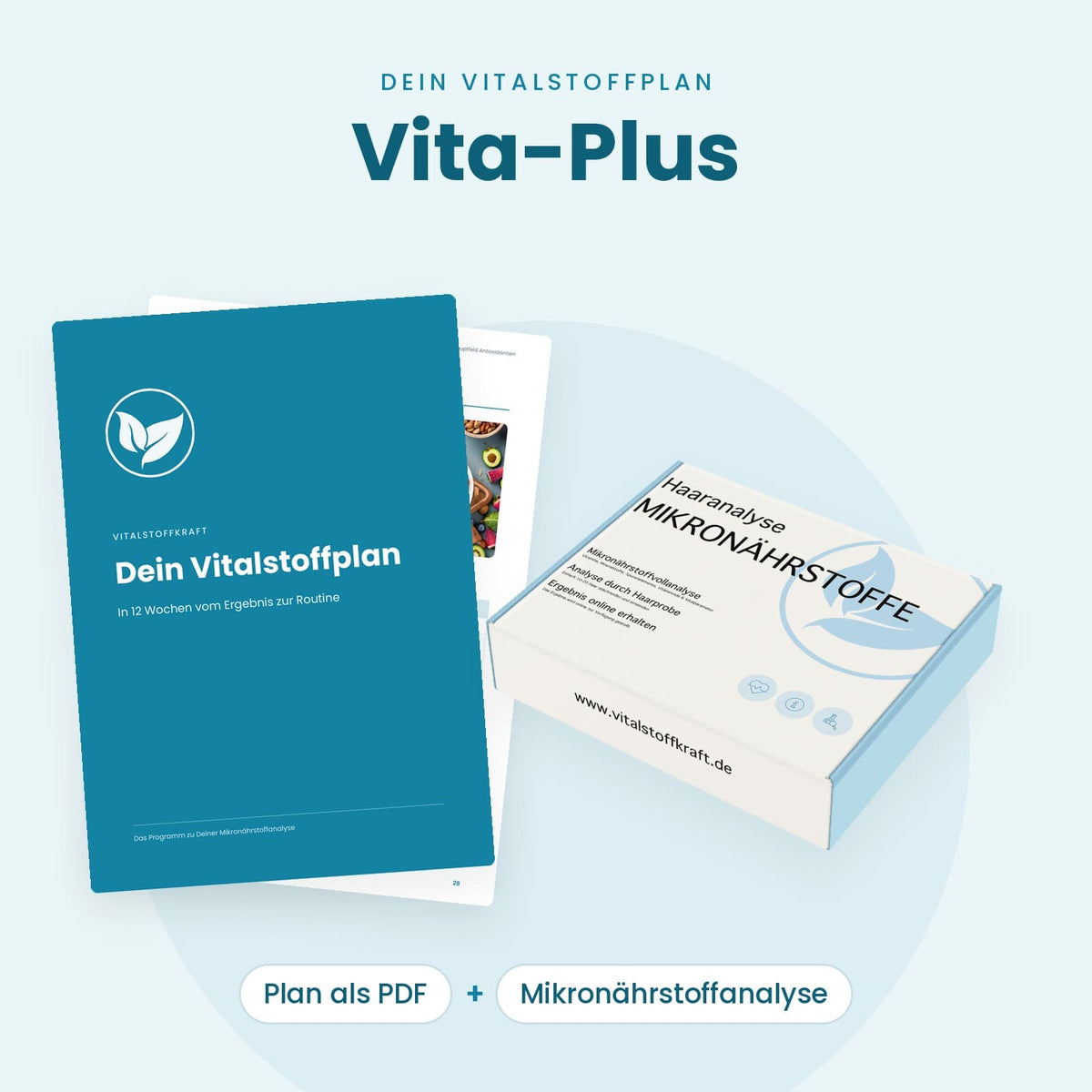 Dein Vitalstoffplan: 12 Wochen Programm zur Mikronährstoffanalyse