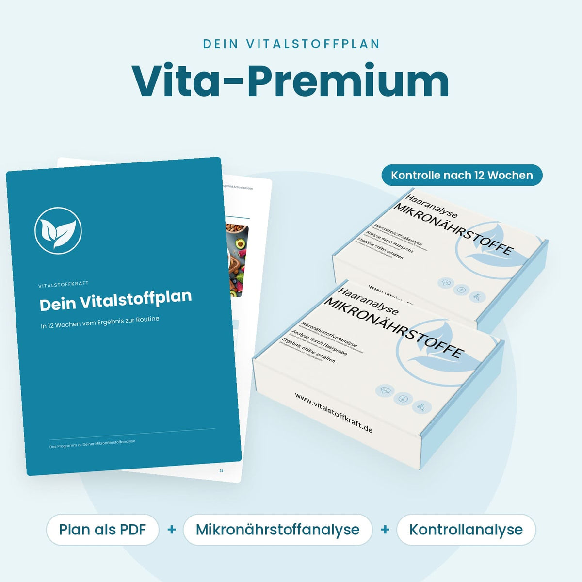 Dein Vitalstoffplan: 12 Wochen Programm zur Mikronährstoffanalyse